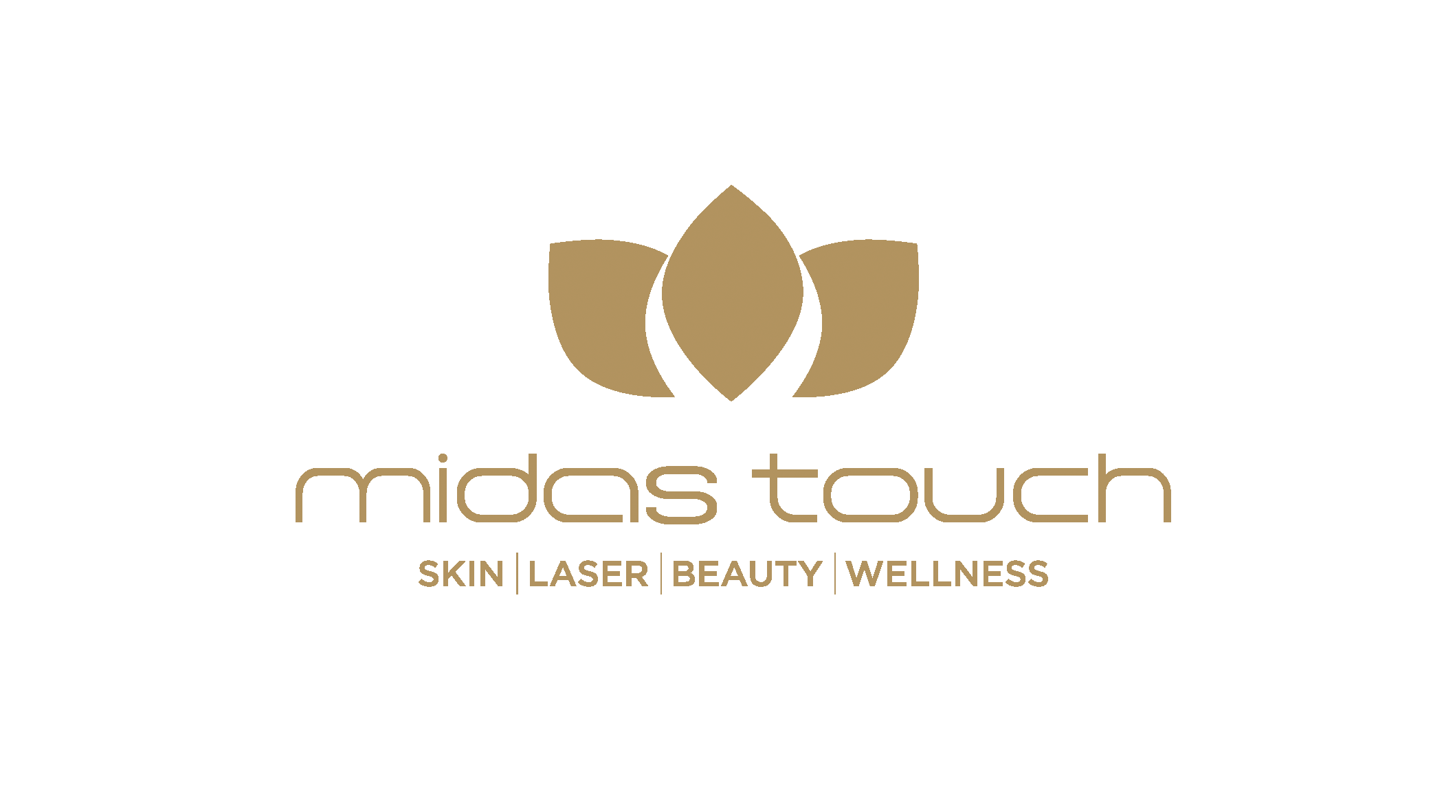Logo for Midas Touch